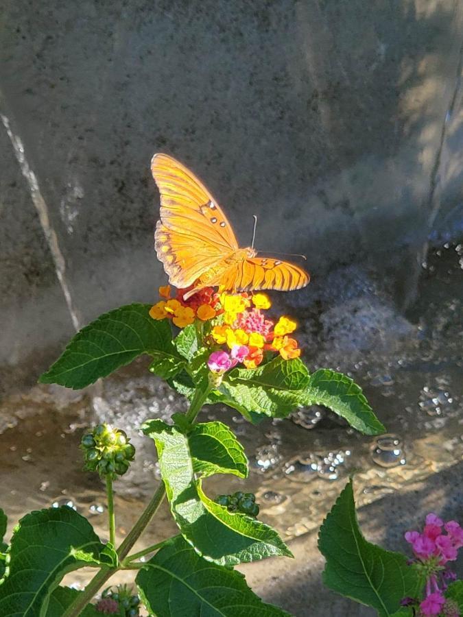 The God Spa レディング エクステリア 写真
